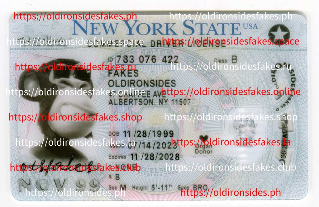 Step-by-Step: Ordering a Realistic Fake ID Online