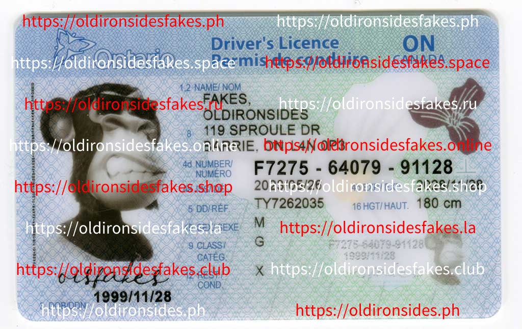 List of Countries with the Most Advanced Fake ID Features