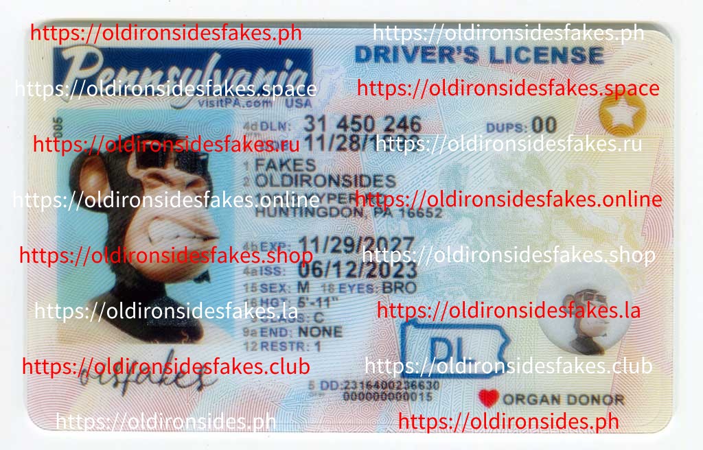 Legal Risks and How to Minimize Them with Fake IDs