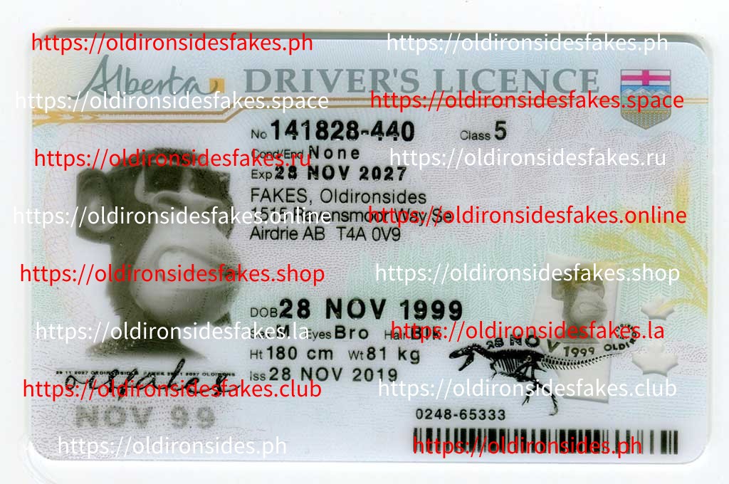 How to Identify High-Quality Fake IDs: Expert Guide