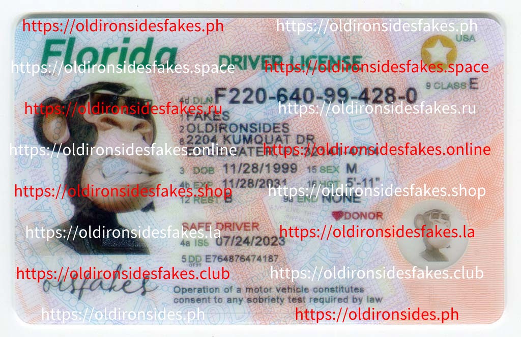 Top 10 Features to Look for in Authentic Fake IDs